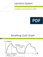 Breathing Cycle