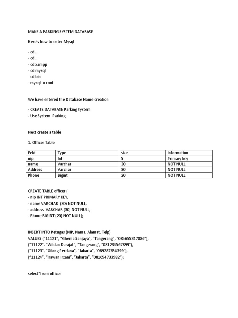 Parking System Database Creation Guide | PDF | Areas Of Computer ...