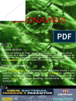 Coronavirus Presentacion Definitiva