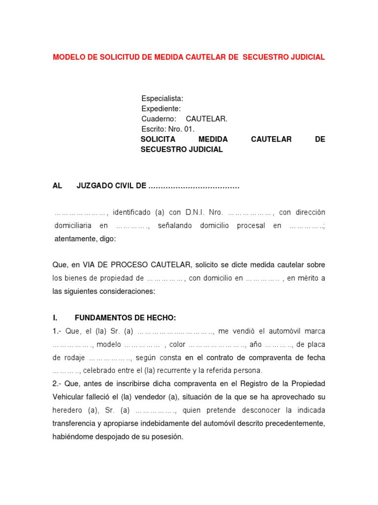 58 Modelo De Solicitud De Medida Cautelar De Secuestro Judicial Pdf Mandato Posesion Ley