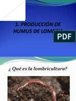 Producción de Humus de Lombris