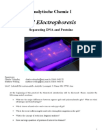 Gel Electrophoresis PDF