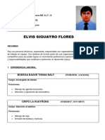 cv elvis.docx