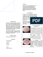 Informe de Biologia 2