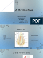 Unidad Dentogingival - Biología