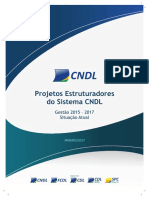 Situação Atual - Projetos Estruturadores 2017