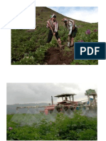 La Agricultura en la Costa Peruana.docx