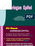 2A Jaringan Epitel