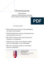 Chromosome - 2015