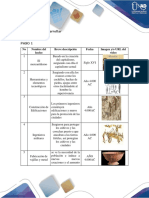 Aportes Tarea 1