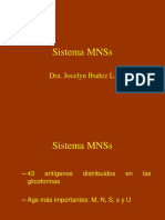 Sistema MNSs
