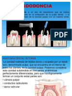 ENDODONCIA