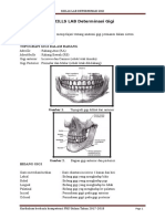 SKILLS LAB DETERMINASI GIGI