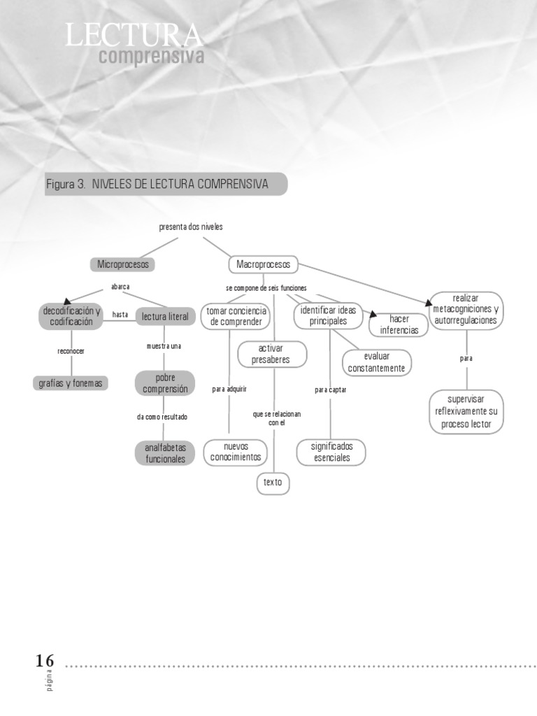 Esquema de Los Niveles de La Lectura Comprensiva | PDF