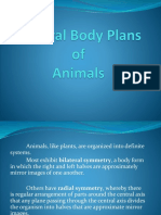 General - Body - Plans - Ofanimals - Postlab - .PPTX Filename UTF-8''General Body Plans Ofanimals (Postlab)