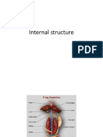 Internal_structure_of_frog_and_cockroach.pptx;filename= UTF-8''Internal structure of frog and cockroach-1