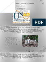 Fase 5 - Matemáticas y Culturas en Colombia