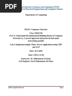 Lab 4 - TCP, UDP - 2020 PDF