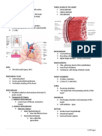 Cardiovascular System