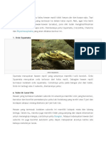 Klasifikasi 4 Ordo Hewan Reptil