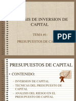 Inversion de Capital Tema 1