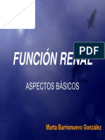 FUNCION RENAL.pdf