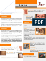 Lepra PDF