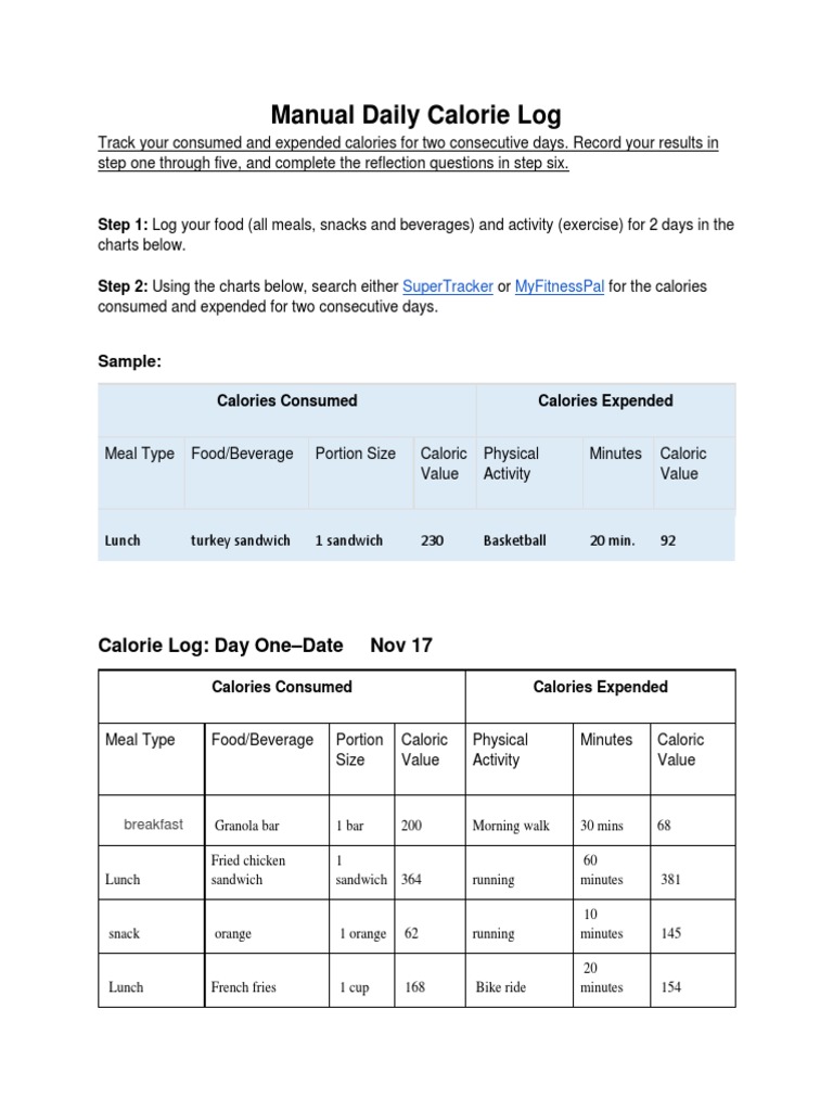 4.05 Manual Daily Calorie Log copy | Meal | Lunch