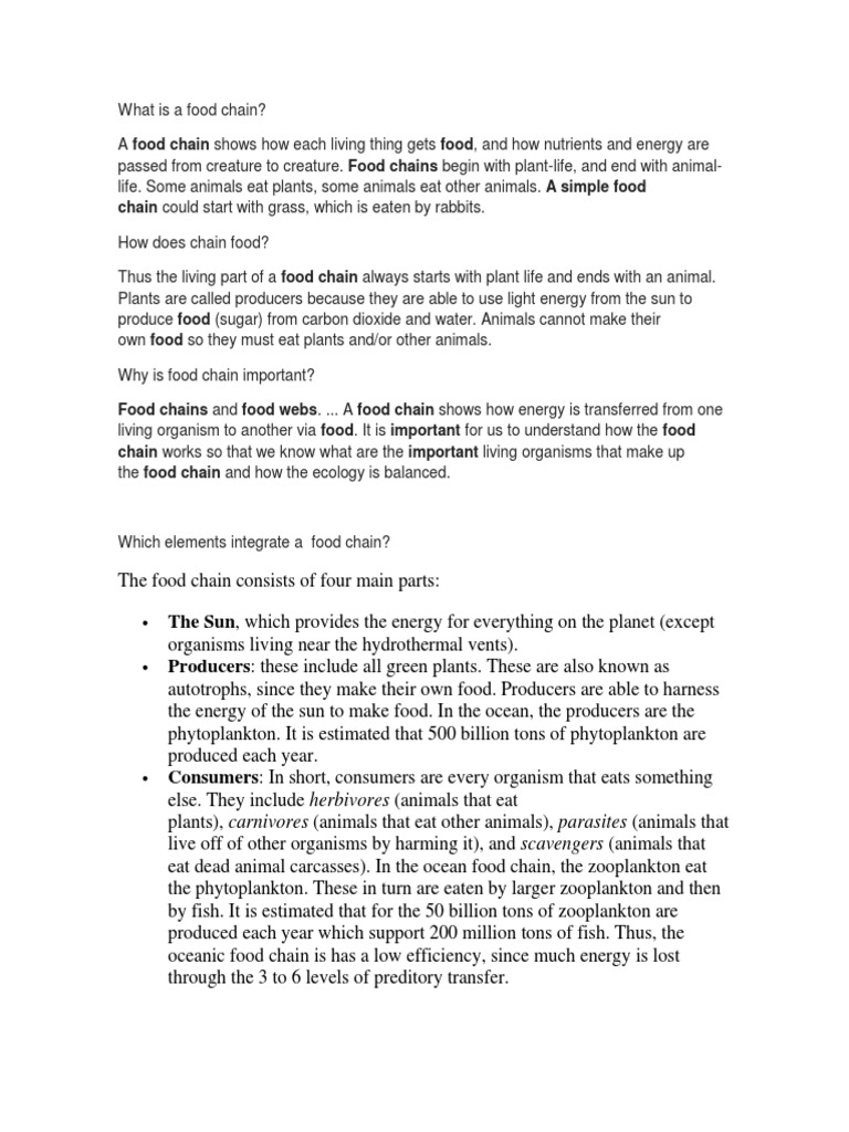 what-is-a-food-chain-pdf-predation-food-web