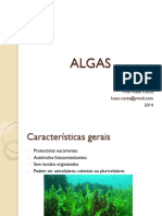 Biologia - Algas