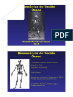 Biomecânica do Tecido Ósseo.pdf