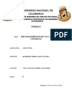 APICULTURA-INFORME44444444444444444.docx