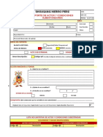 Ver00 REPORTE ACTO - CONDICIÓN