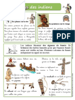 Au Pays Des Indiens PDF