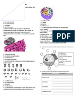 Taller D El Nucleo