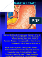 Digestive System I