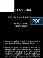 3 - Potassium