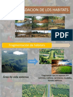 Degradacion de Los Habitats