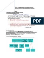 Salud Publica Aps - Imprimir