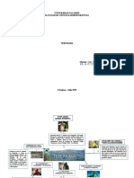 Mapa Conceptual Terepaima