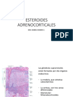 ESTEROIDES ADRENOCORTICALES Def