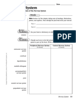 04-Science Notebook-Organization of The Nervous System