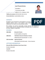 CV Andres PDF