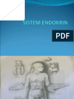 AN-FIS SISTEM ENDOKRIN