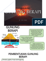 Gunung Berapi