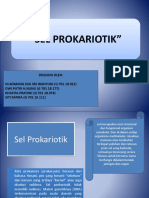 Sel Prokariotik