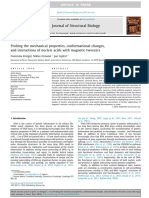 Biophysik Seminar Paper PDF