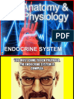 Group 3 Endocrine System.ppt