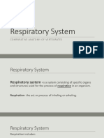 Respiratory System