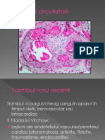 LP 2 - Tulburari circulatorii (2).ppt